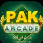 Pak Arcade Game Logo
