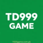 TD999 Game Logo